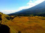 savana-propok-rinjani.jpg