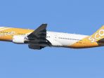 Maskapai Scoot Kembali Layani Rute Palembang-Singapura dan Pekanbaru-Singapura, Berikut Jadwalnya