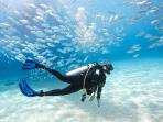 scuba-diving_20161015_143024.jpg
