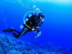 scuba-diving_20161015_155457.jpg