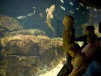 sea-aquarium-satu-tempat-wisata-hits-di-singapura.jpg