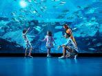 sea-aquarium-tempat-wisata-hits-di-singapura-cek-harga-tiket-masuk-terbarunya.jpg