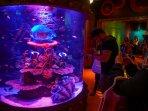 sea-life-malaysia-3.jpg