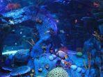 sea-life-malaysia1.jpg