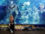 sea-world-ancol-jakarta.jpg