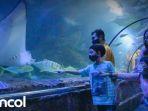 sea-world-ancol-satu-tempat-wisata-keluarga-di-jakarta.jpg