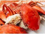 seafood-1.jpg