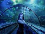 seaworld-ancol-imgsh.jpg