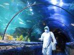 seaworld-ancol-msaj.jpg