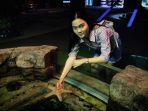 seaworld-ancol.jpg
