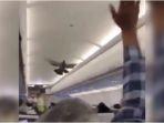 seekor-merpati-terlihat-terbang.jpg