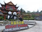 seekor-panda_20171104_213042.jpg