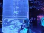 sejumlah-pengunjung-menikmati-jakarta-aquarium.jpg