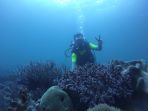 selat-lembeh_20170203_174439.jpg