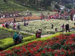 selecta-kota-batu-jawa-timur_20170717_122915.jpg