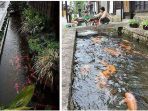 selokan-dihuni-ikan-koi-di-jepang_20170904_164158.jpg