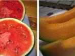 semangka-dan-melon.jpg