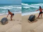 sentuh-anjing-laut-langka.jpg