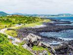 seopjikoji-di-pulau-jeju.jpg