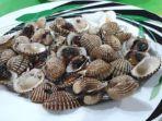 seporsi-kerang-darah-goreng-di-seafood-pak-jari-simpanglima-semarang.jpg