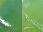 Hii! Drone Rekam Momen Dramatis dan Mengerikan di Ballina, Nyawa Peselancar Nyaris Melayang