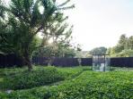serene-itabu-toilet_20160930_211836.jpg