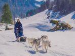 shandy-purnamasari-naik-husky-sled.jpg