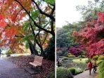 shinjuku-gyoen_20181027_174600.jpg