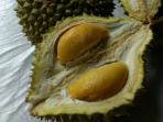 Fruit and Veggie Festival 2016 - Ada Mangga Berduri Rasa Durian, Kamu Bisa Icip di Sini