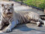 singa-down-syndrom_20170409_181138.jpg
