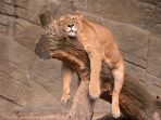 singa_20180130_133615.jpg