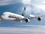 singapore-airlane_20170505_162833.jpg