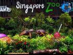 singapore-zoo.jpg