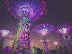 singapura_20160802_195544.jpg