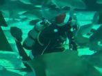 sinterklas-scuba-diving.jpg