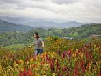 sirao-flower-garden-cebu-filipina.jpg