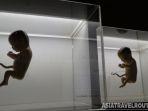 siriraj-medical-museum.jpg