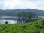 situ-patenggang-di-kabupaten-bandung-jawa-barat.jpg