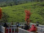 smart-hill-camp-2023.jpg