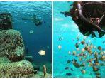 snorkeling-di-nusa-penida-bali.jpg