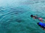 snorkeling_20170331_092928.jpg