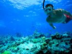 snorkeling_20180910_152532.jpg