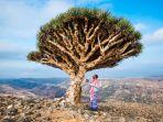 socotra-jumat-1712020.jpg