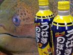 Fakta Minuman - Inilah 5 Soda yang Punya Rasa Nyleneh, Ada Bawang Hingga Belut