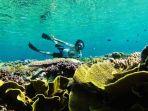 sombu-wangi-wangi-wakatobi.jpg