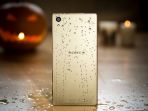 sony_20170401_150818.jpg