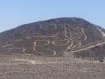 sosok-kucing-di-lereng-bukit-di-nazca-peru.jpg