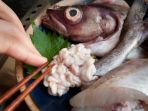 sperma-ikan_20180123_082301.jpg
