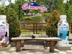spot-foto-di-cimory.jpg