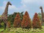 spot-foto-instagenic-di-taman-bunga-nusantara-1.jpg
